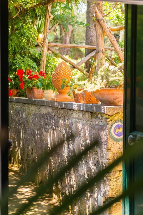 Villa Ada ソレント エクステリア 写真