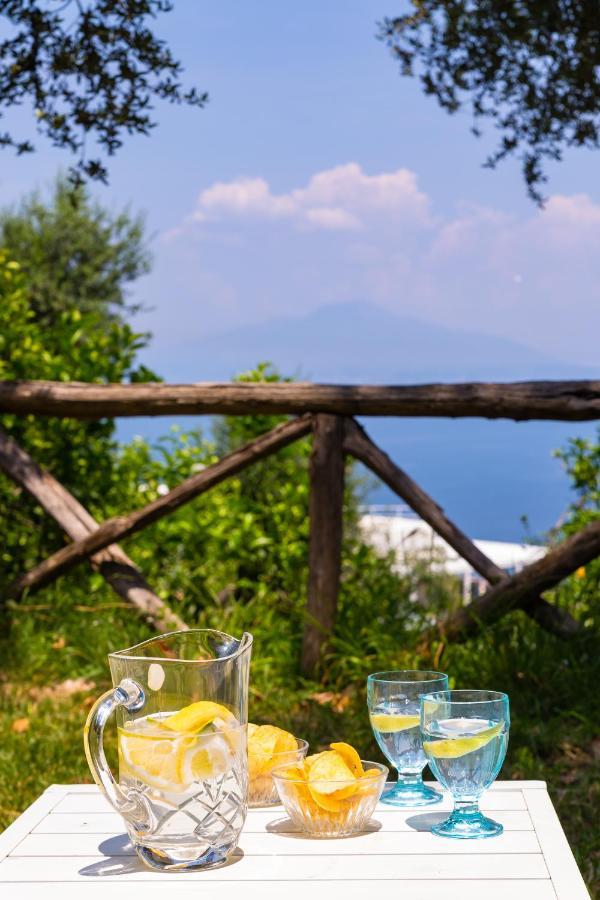 Villa Ada ソレント エクステリア 写真