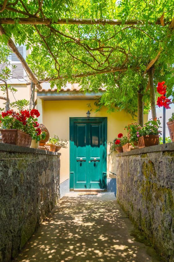 Villa Ada ソレント エクステリア 写真
